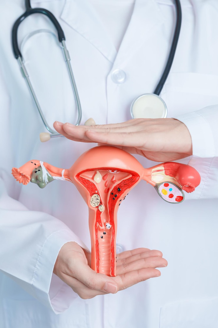 Best Gynecologist in Gurgaon